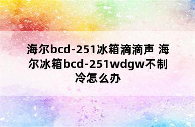 海尔bcd-251冰箱滴滴声 海尔冰箱bcd-251wdgw不制冷怎么办